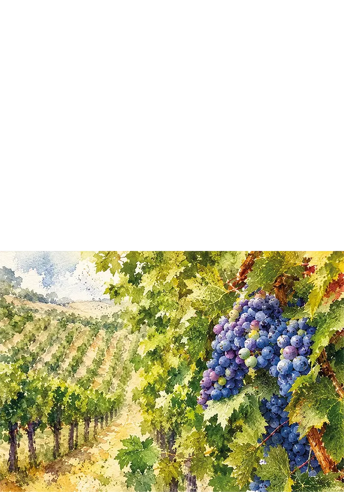 Harvest Light