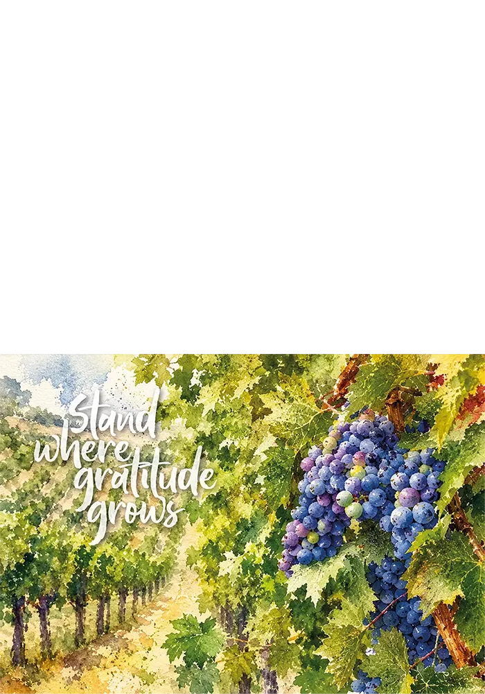 Harvest Light / Stand where gratitude grows